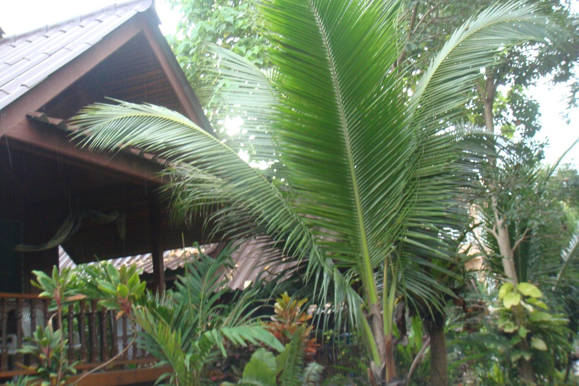 Silver Sands Resort - Tau-sziget Kültér fotó